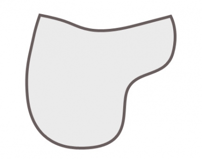 Form: Satteldecke